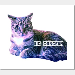 Big Concern Posters and Art